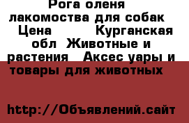 Рога оленя - лакомоства для собак.  › Цена ­ 200 - Курганская обл. Животные и растения » Аксесcуары и товары для животных   